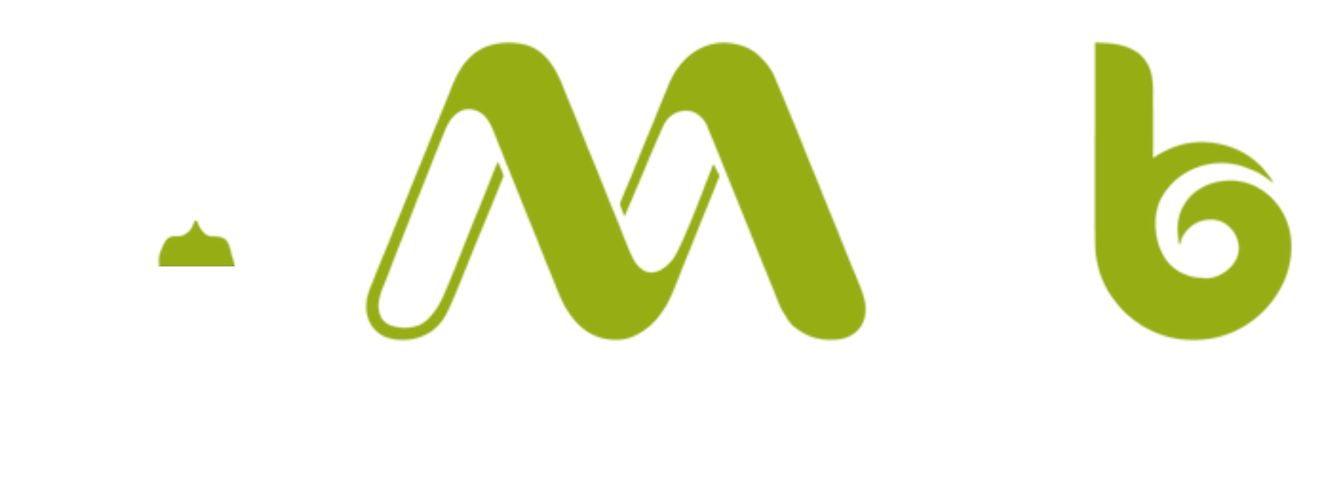 Mnbsoft Logo